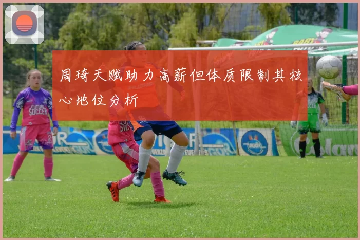 周琦天赋助力高薪但体质限制其核心地位分析