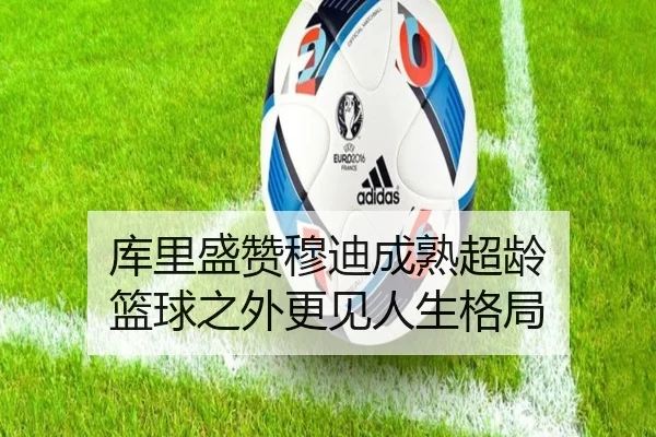 库里盛赞穆迪成熟超龄 篮球之外更见人生格局